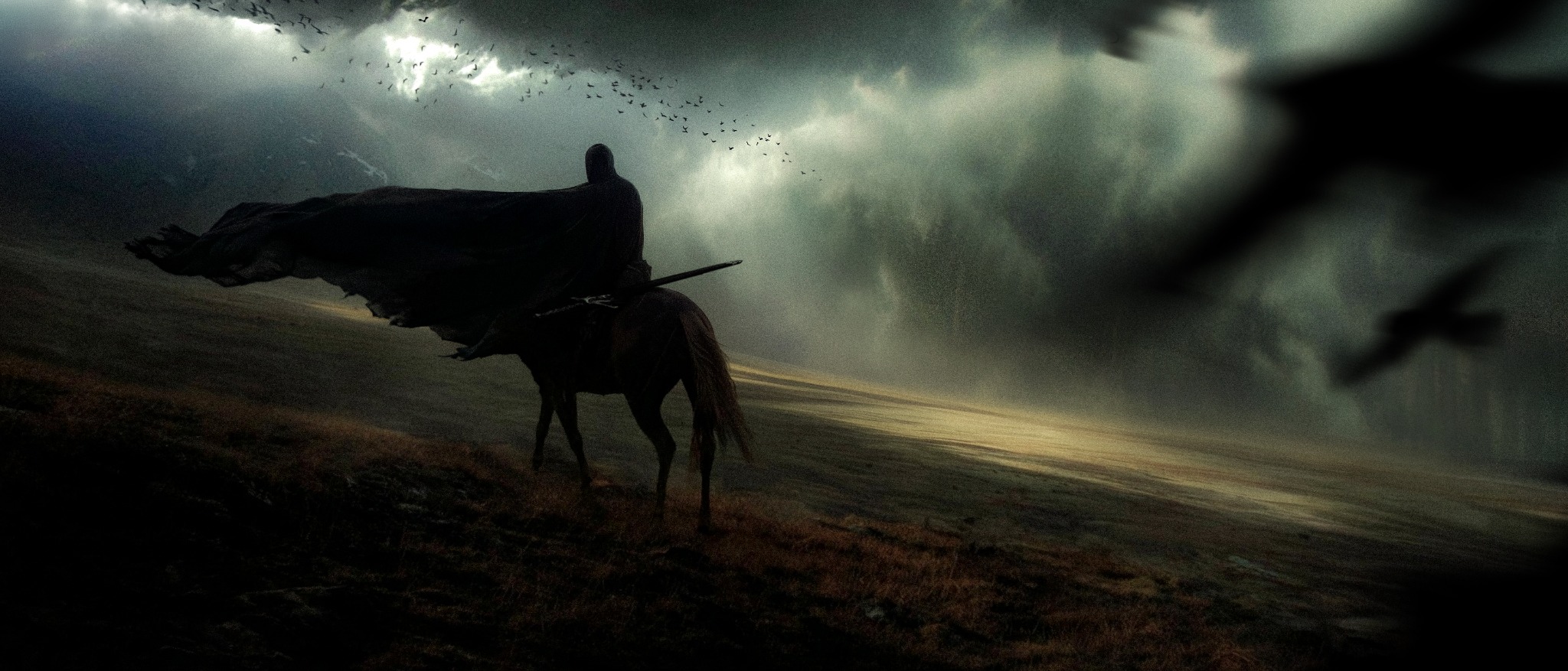 Rider seen from behind, crossing a field toward the storm